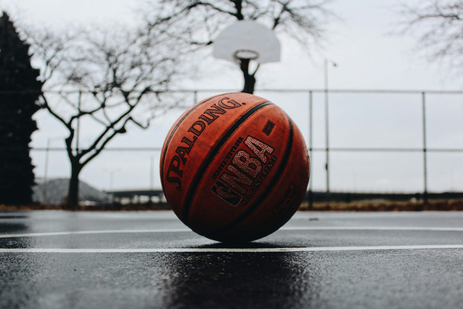 Basketball Cards